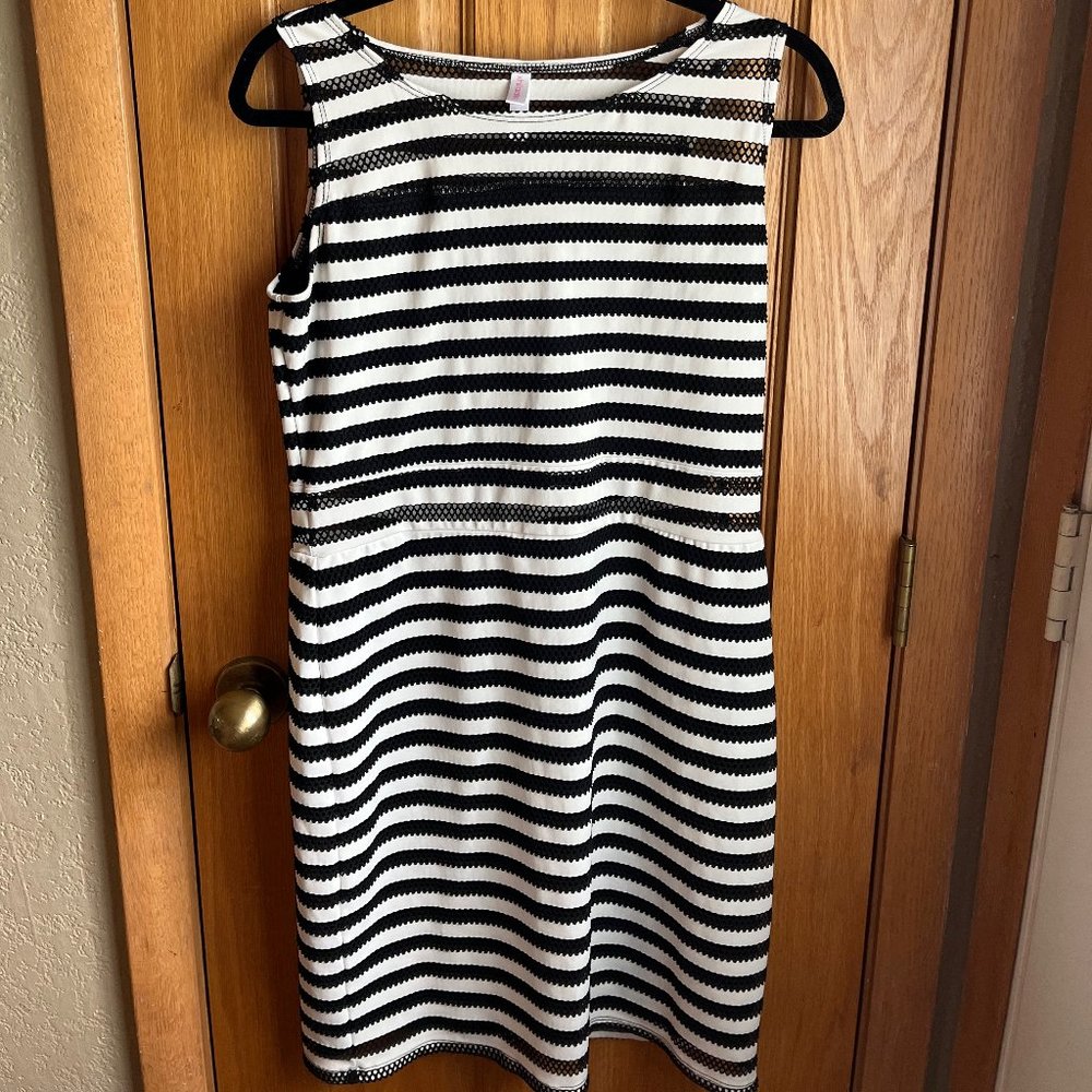 Xhilaration Women's Black and White Striped Dress with Mesh Details